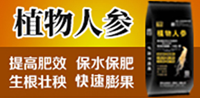 ɽ�|�����������＼�g���޹�˾