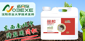 ɽ�|�Zؐ���r�I(y��)�l(f��)չ���޹�˾