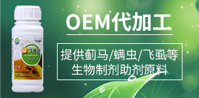 ɽ�|��(qi��ng)�r(n��ng)����Ƽ����޹�˾